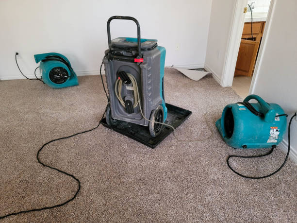 Best 24-hour water damage restoration  in Lakeview, OR
