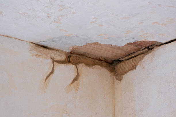 Best Water damage contractors near me  in Lakeview, OR
