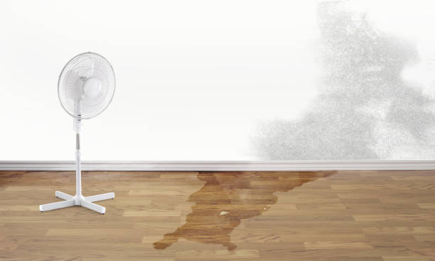 Best Water damage cleanup near me  in Lakeview, OR