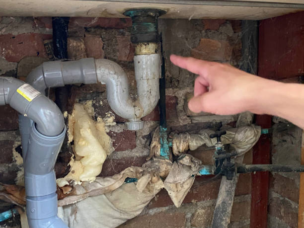 Best Professional water damage repair  in Lakeview, OR