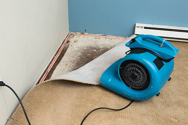 Best Local water damage restoration  in Lakeview, OR